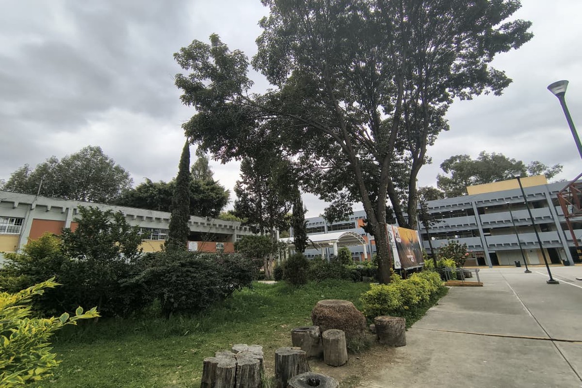 Jardines y áreas verdes del plantel